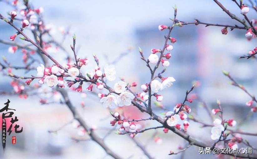 诗人春天去拜访朋友，吃了闭门羹，却写下一首宋诗绝唱，美了千年