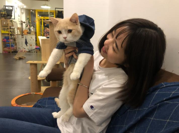 撸猫有什么风险,撸猫不能撸的几个部位