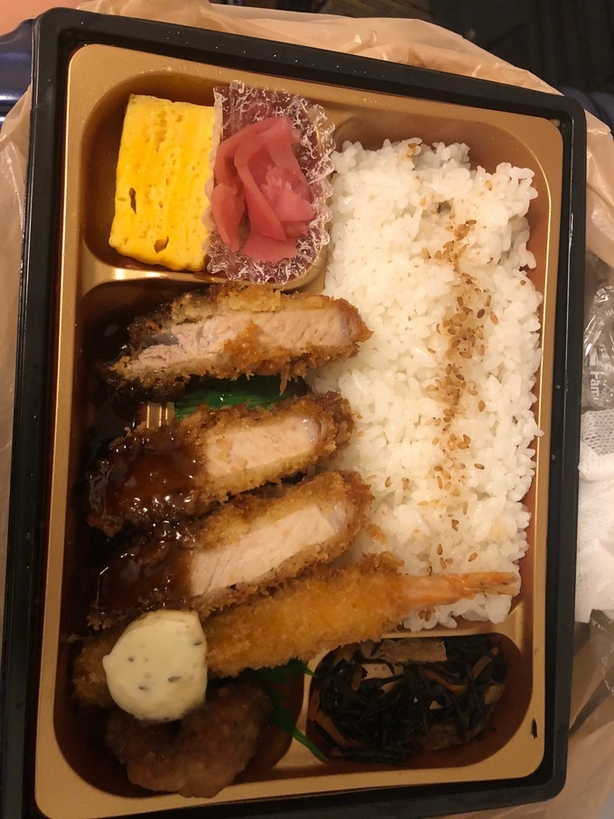 箱根到奈良如何坐车,日本东京京都箱根大阪奈良8日游