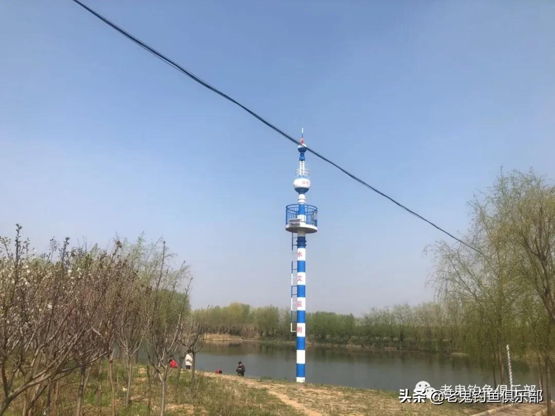 单开红虫,单开红虫拉饵