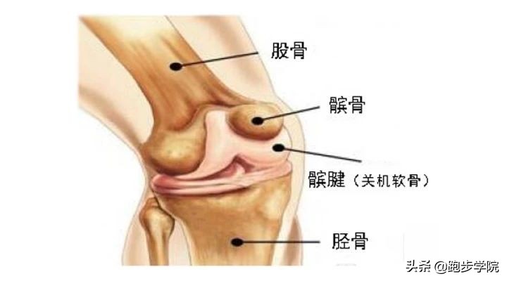 跑步膝盖疼痛自检,跑步大神们初跑时有膝盖疼的问题