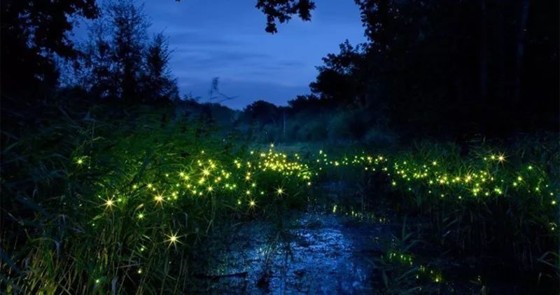 国内度蜜月最合适两个人去的地方,适合情侣度蜜月的旅游胜地