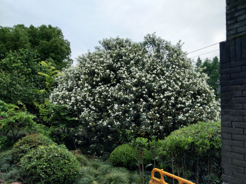杭州古城门十门,杭州十大古城门