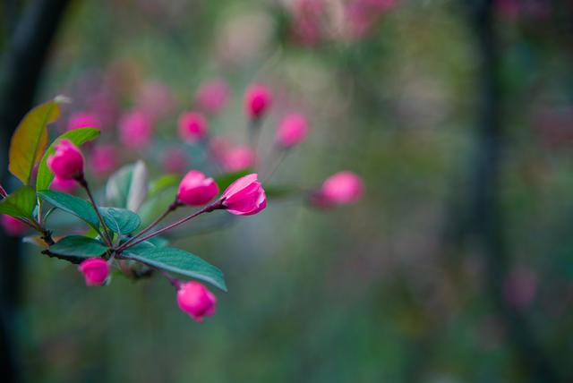 哪些便宜又好用的镜头,什么牌子的镜头最好用