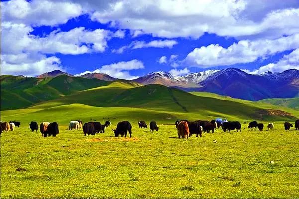 夏季武威的乌鞘岭,武威乌鞘岭古长城