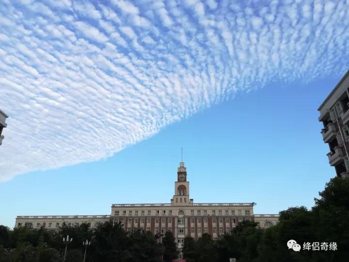 川影最美辅导员,川影播音主持辅导员