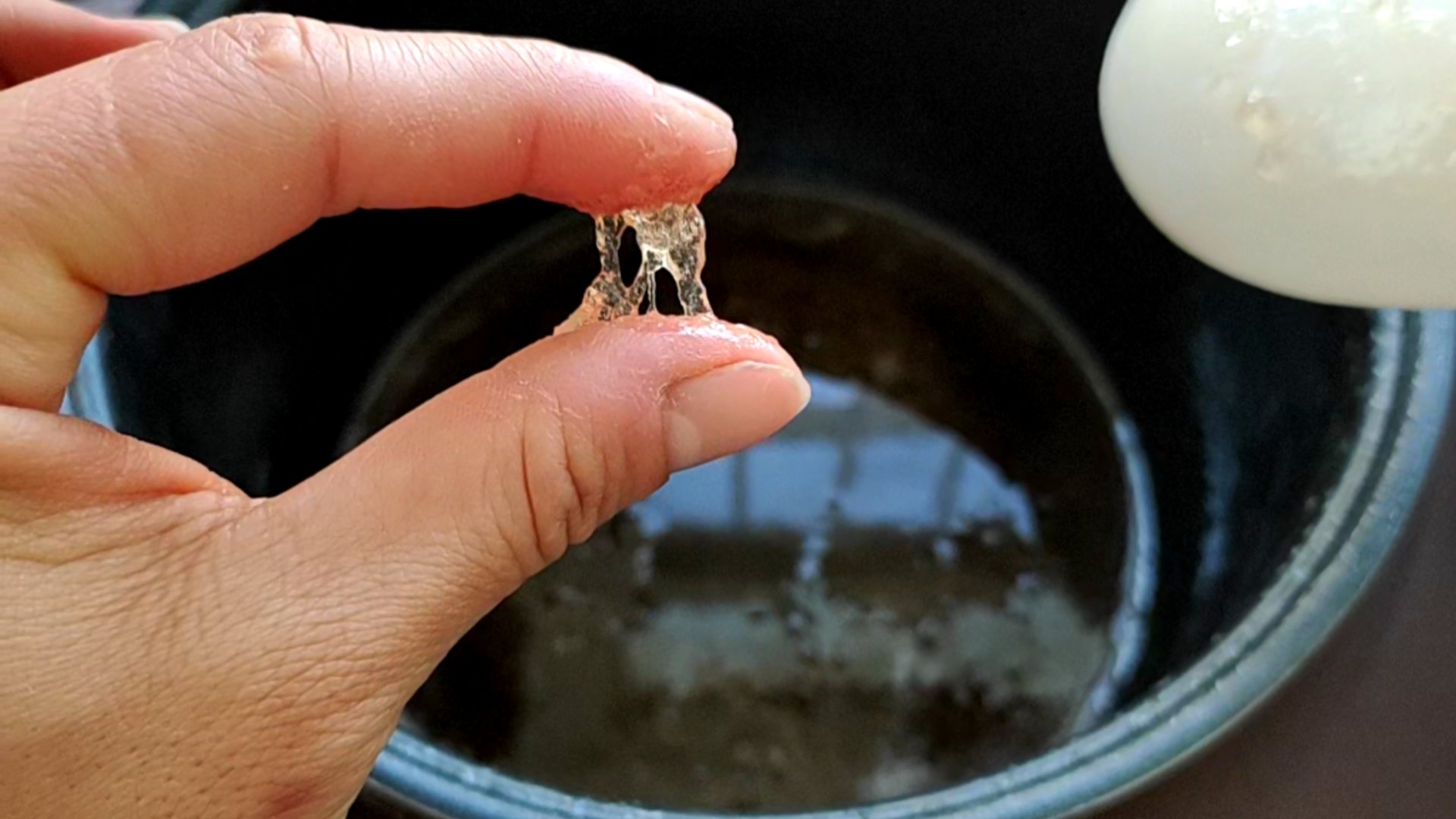 自制养生苹果胶,自制苹果胶的最佳方法