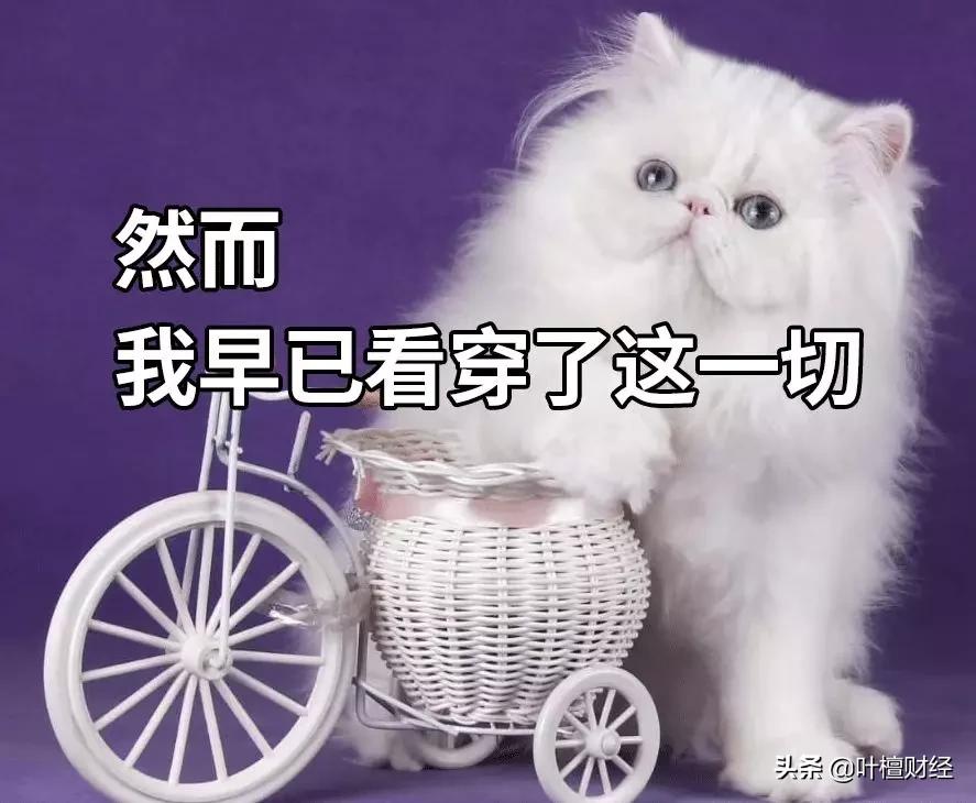 不能错过分析师深刻反思我为什么错过了这家好公司？|檀公司