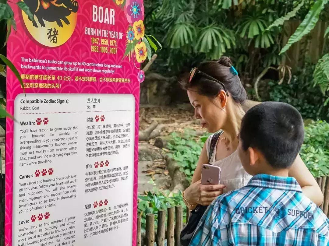 新加坡动物园周末,新加坡旅游攻略动物园