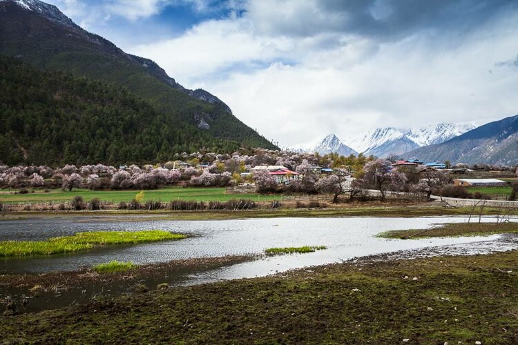 海子面朝大海春暖花开写作时间,海子面朝大海春暖花开原文图片