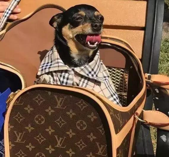 千万不要在朋友圈炫富自己过得好,别羡慕朋友圈里经常炫富的人