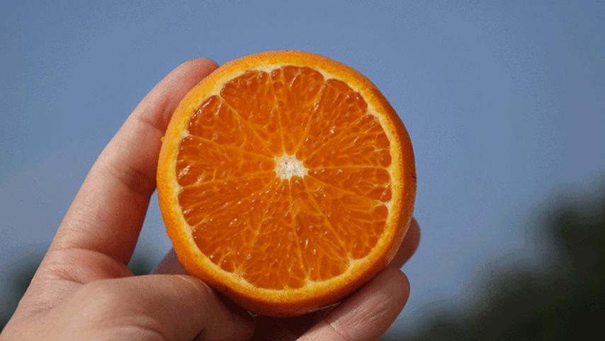 外表难看吃起来好吃的水果,茂谷柑为什么吃起来像烂了的味道