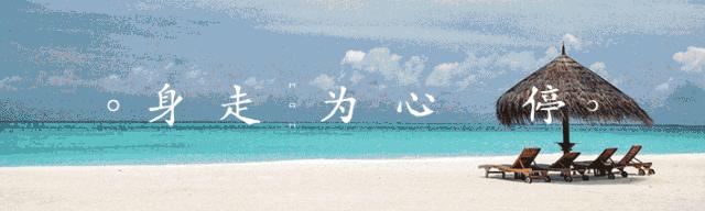 你为什么越忙越穷在线阅读,越忙越穷