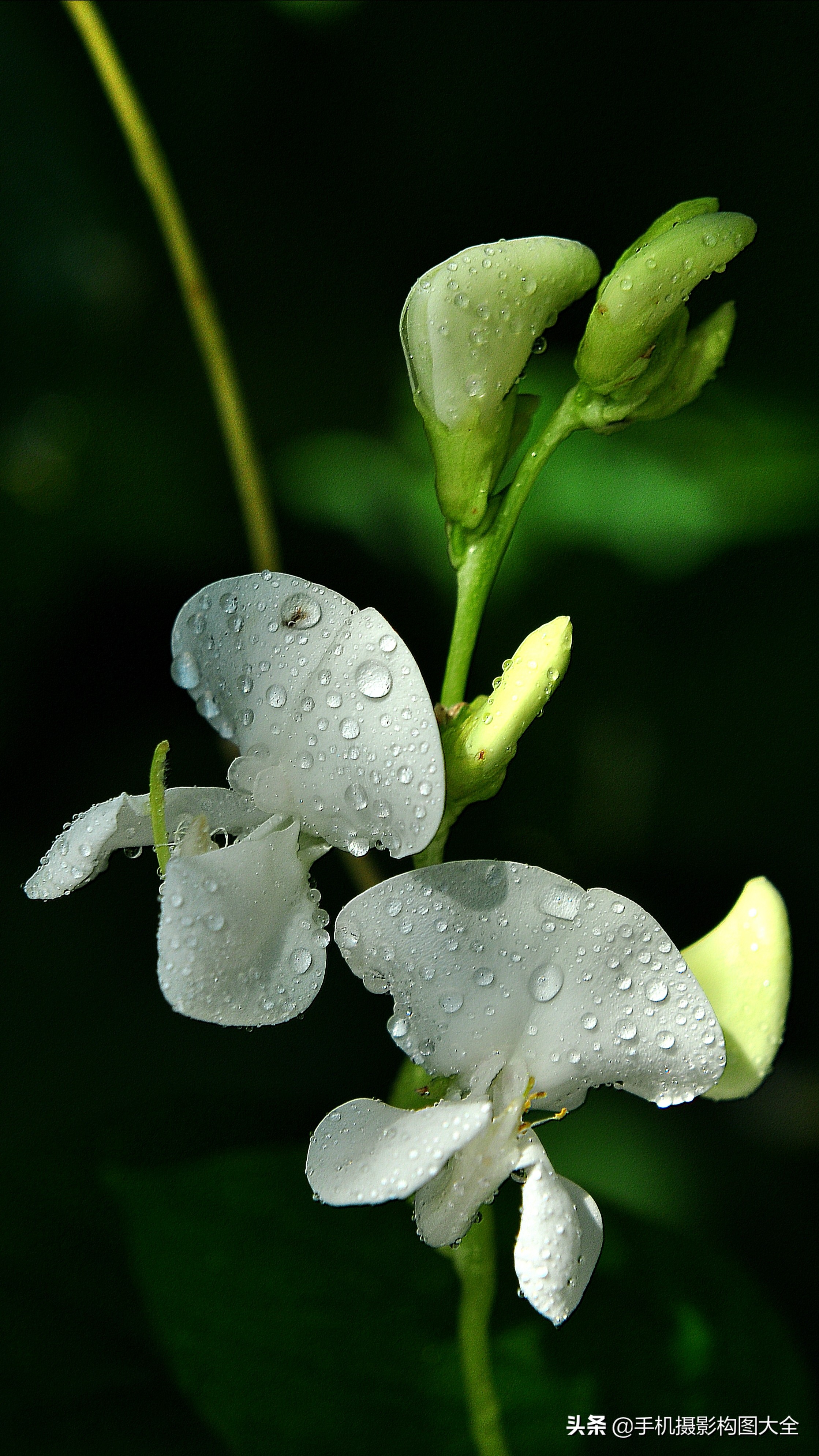 把你的相片做成动态图片,试试你的照片动漫效果