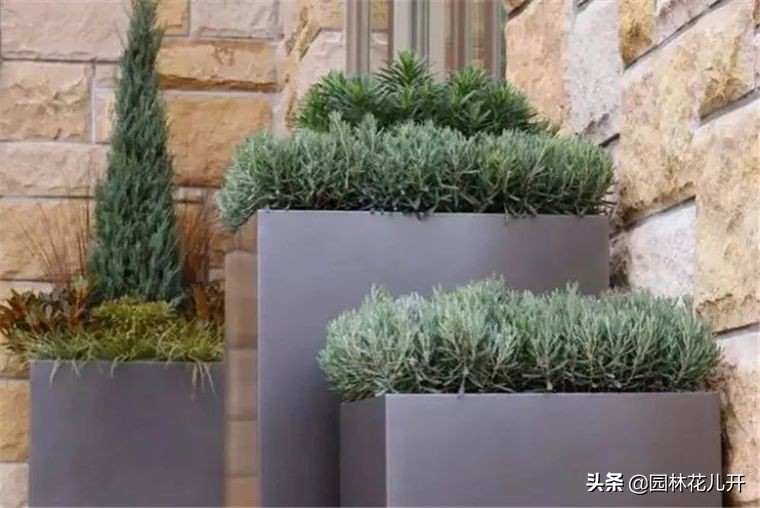 阳台花箱景观设计,景观花架花箱设计