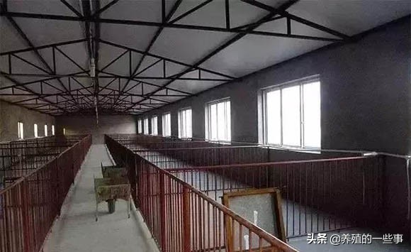 农村如何建造现代化养猪场,农村养猪怎样建简单猪场