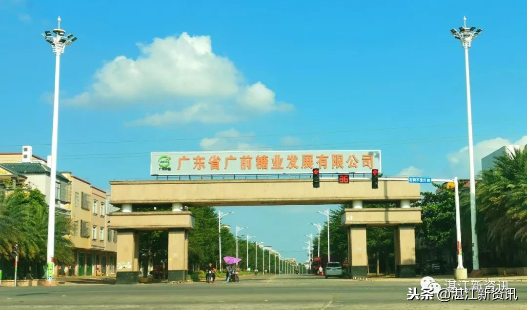 知青下乡49周年纪念活动,纪念知青下乡50周年图片图文