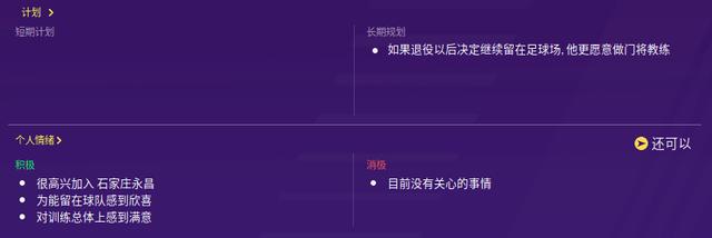 fm2020前锋,石家庄永昌韩峰