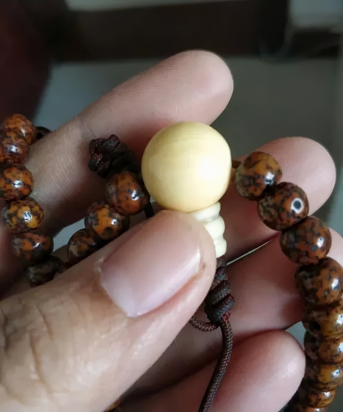 星月菩提阴皮是什么意思,星月菩提的阴皮怎么形成的