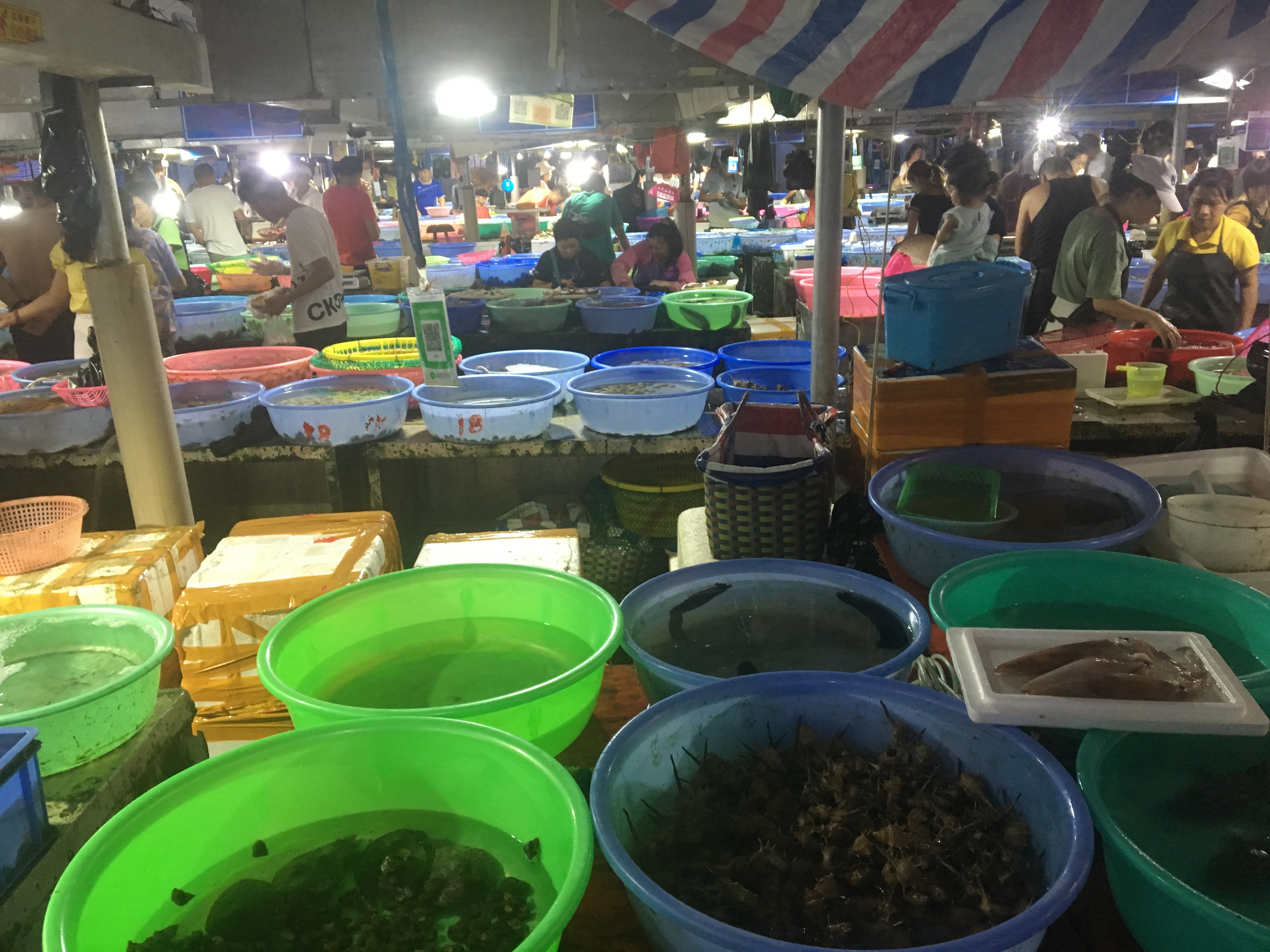 重庆桂林北海六日游,八月重庆自驾广西8日游