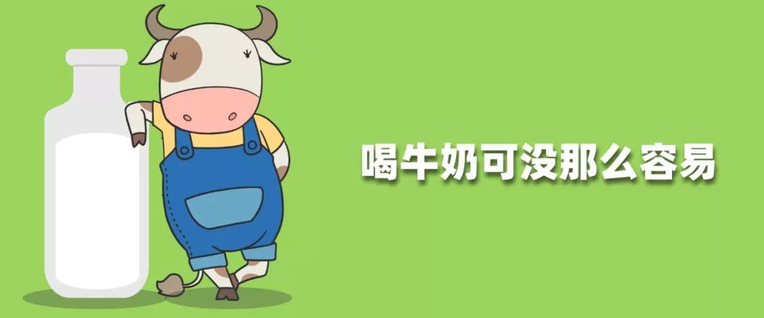 养一头牛的酸牛奶好吗,超级爱喝纯牛奶会怎么样