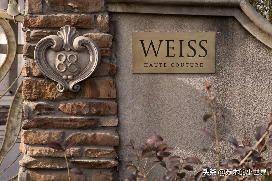 我想把“月亮、星辰、山川和竹林都穿在身上”