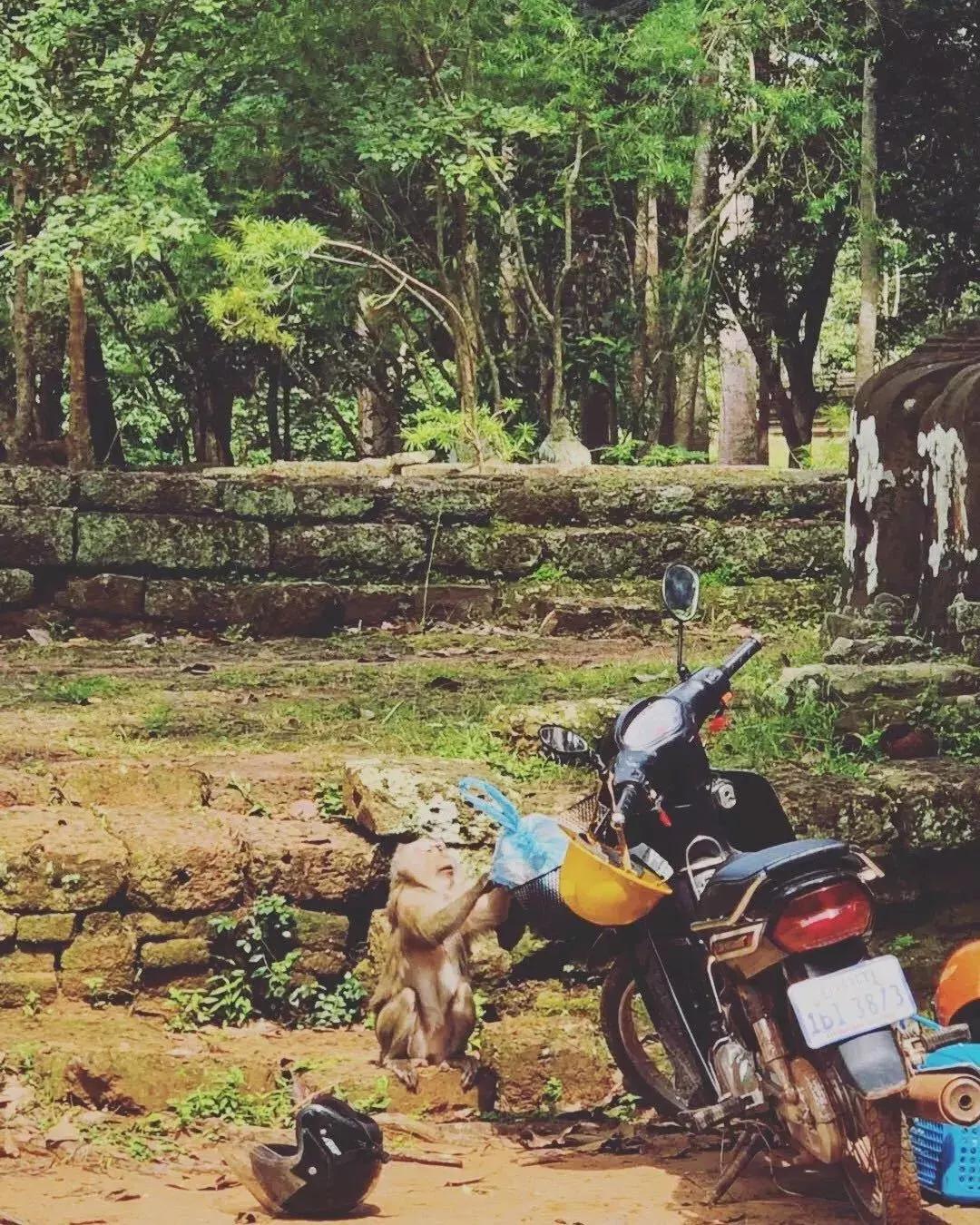 吴哥旅行,旅行体验官是真的吗