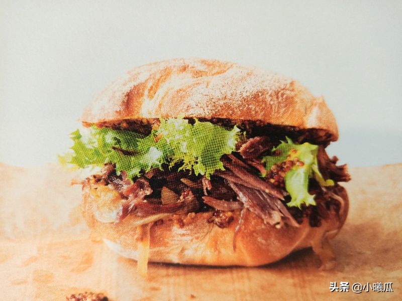 汉堡包是健康食品还是垃圾食品,汉堡包是不是有害食品