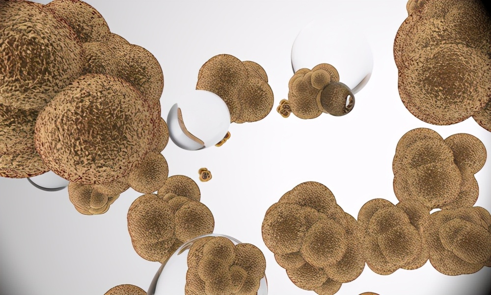 质子重离子对癌症治愈率,质子和重离子治疗癌症有什么区别