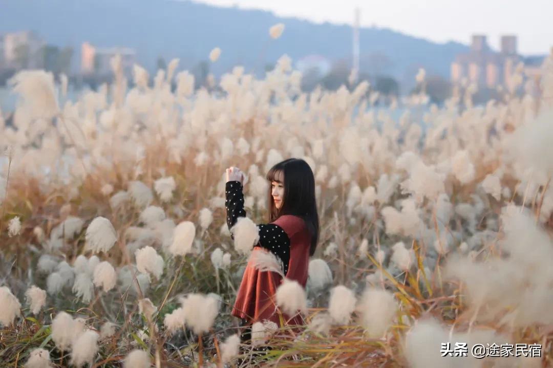 长沙最值得去的小众景点,长沙一日游小众景点推荐