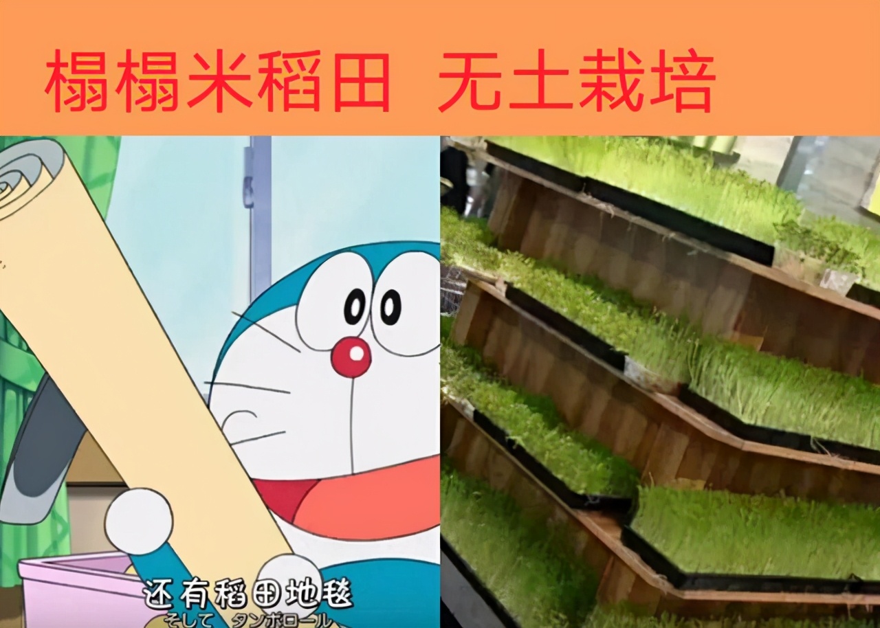 哆啦a梦里面已经实现的高科技,哆啦a梦里面的科技有多少实现了