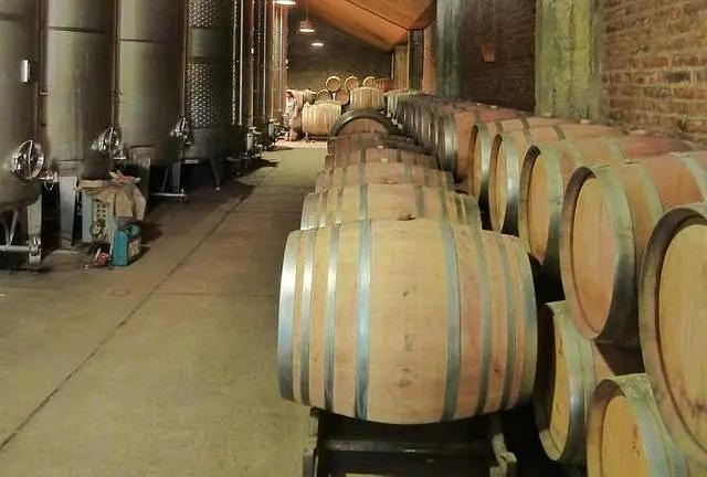 智利十大的酒庄排名榜最新,智利葡萄酒十大酒庄