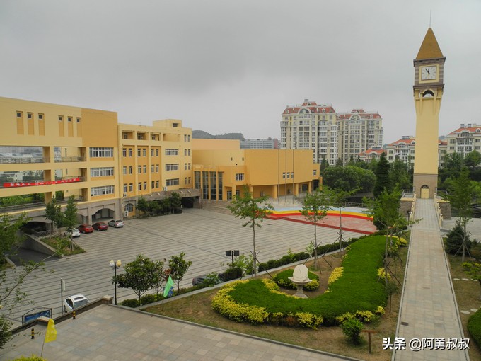 青岛二中2019高考成绩,经验分享大学专业