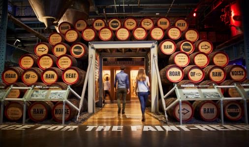 爱尔兰健力士酒厂,爱尔兰健力士