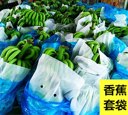 江苏异型epe珍珠棉用途,广西epe珍珠棉用途