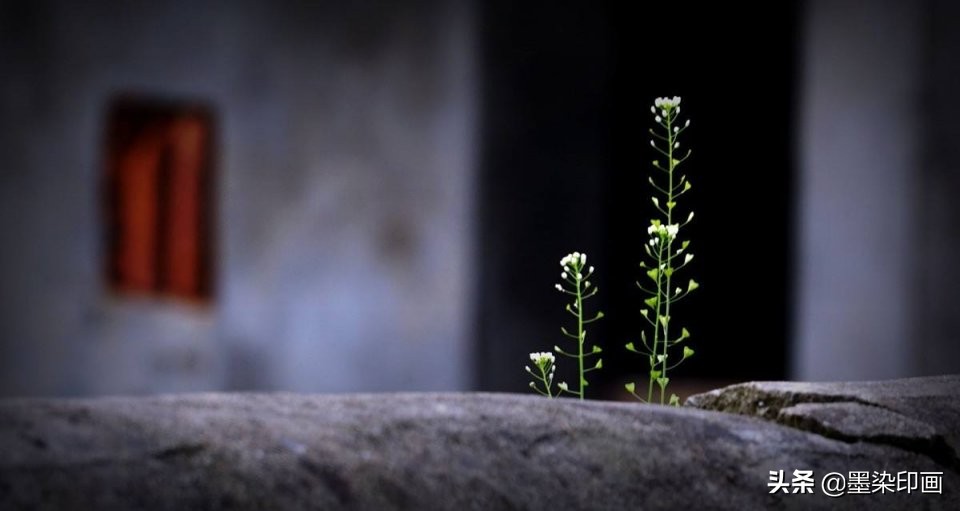 清明节拍摄风景图片,清明节全家踏青照片如何拍摄