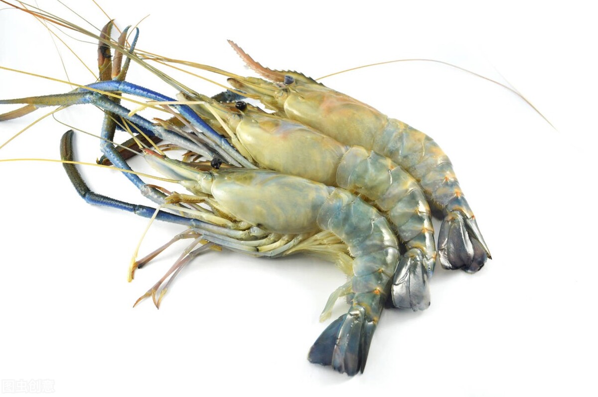 食肉菌感染有多可怕,食肉菌是不是罕见病菌