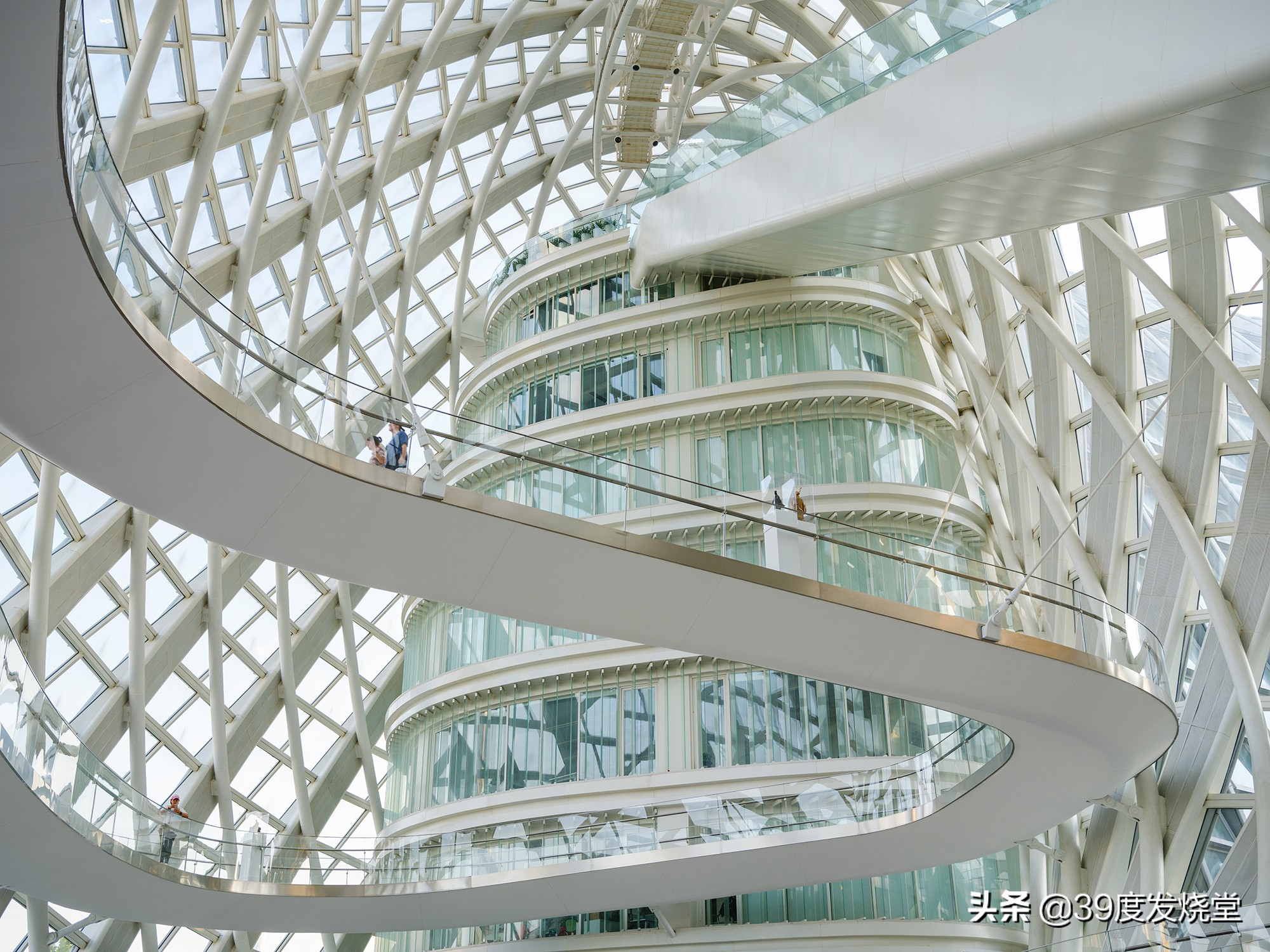 富士xf55-200mm镜头测评,富士gf45镜头测评