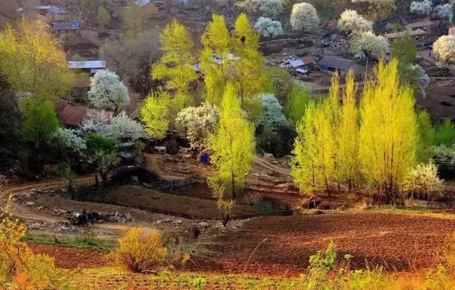 辽宁旅游景点推荐3天自由行,辽宁学生旅游景点推荐