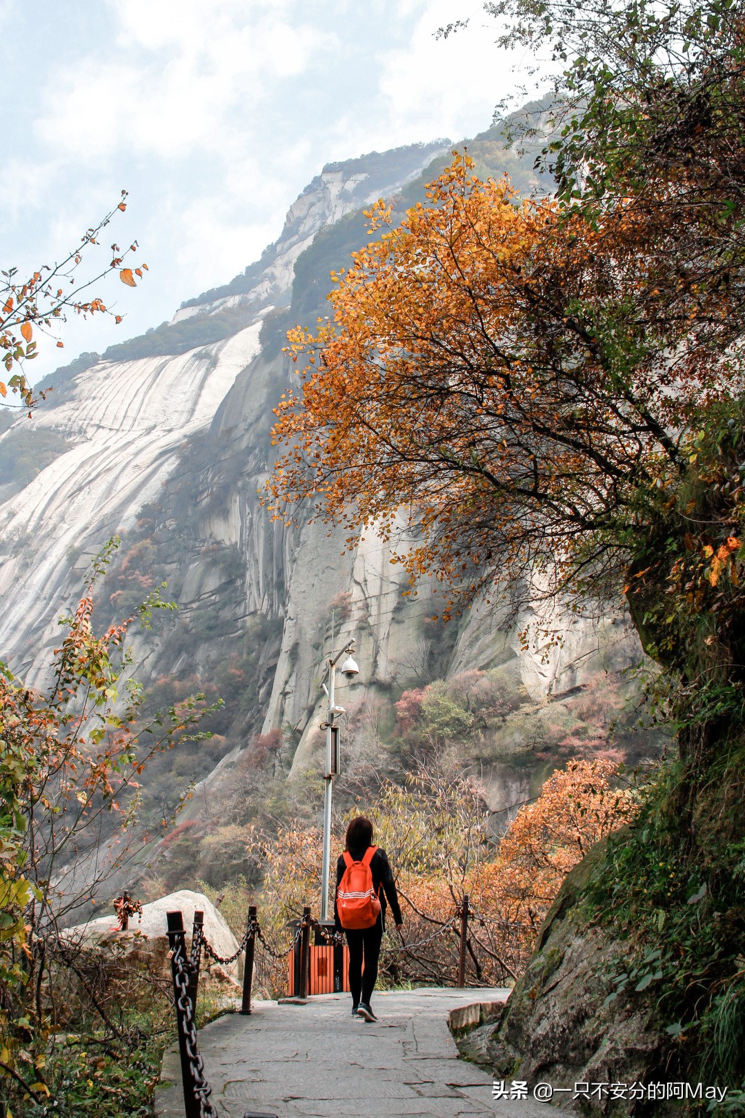 为什么爬华山都是夜爬,华山自古一条道很有必要爬吗