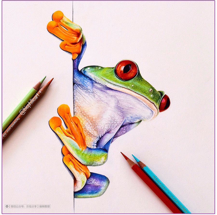 圆形牛皮纸彩铅画花鸟,彩铅画绿藤花鸟图片大全