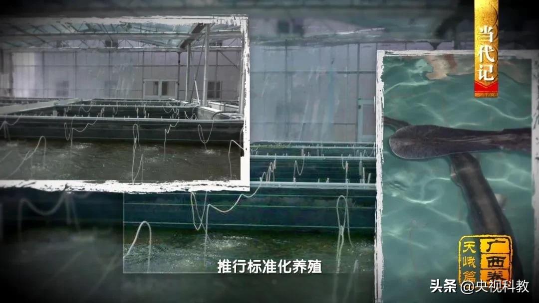 影像方志天峻,中国影像方志四川大竹篇