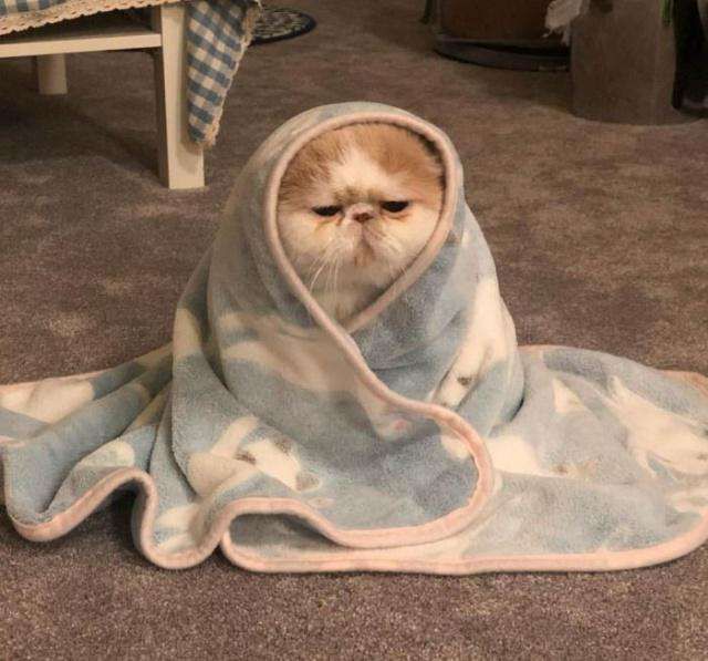 冷到发抖发颤怎么办,冷得瑟瑟发抖如何缓解