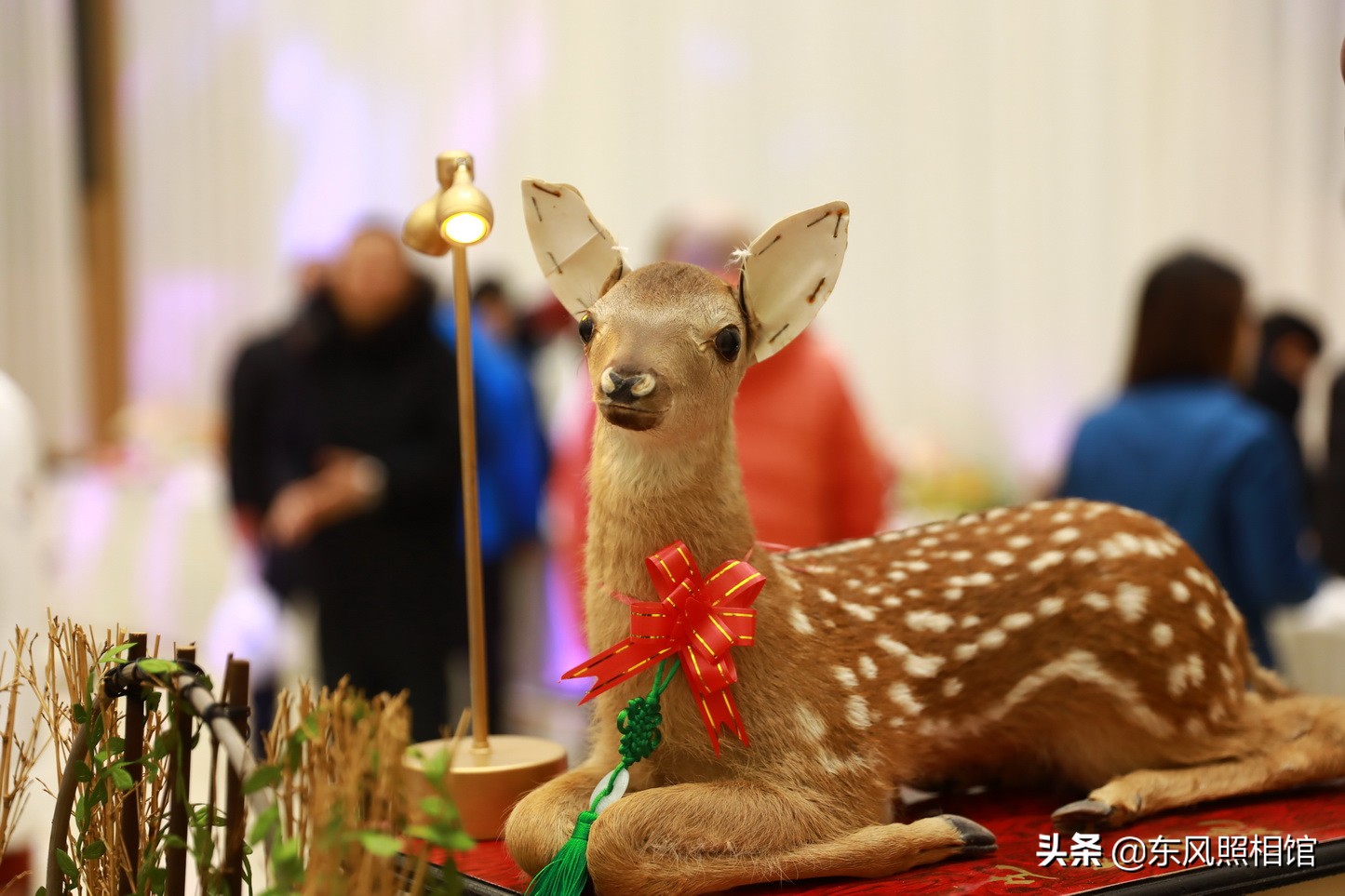 东北鹿肉的煮法,东北鹿肉
