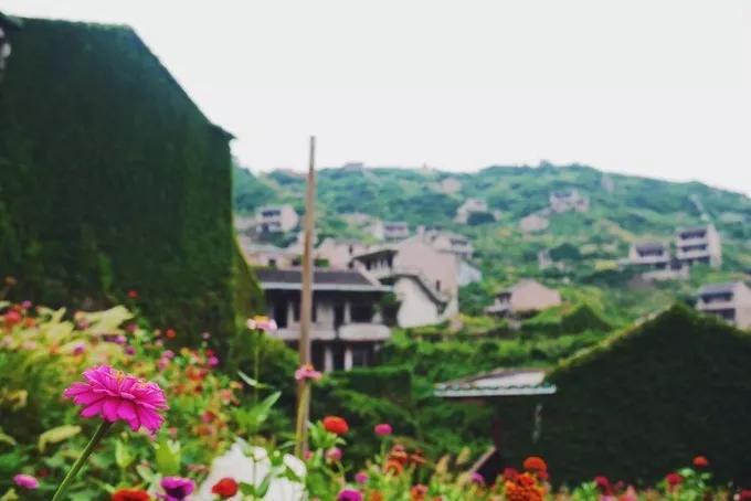 这座海岛我做好了攻略，适合约上最好的朋友一起去