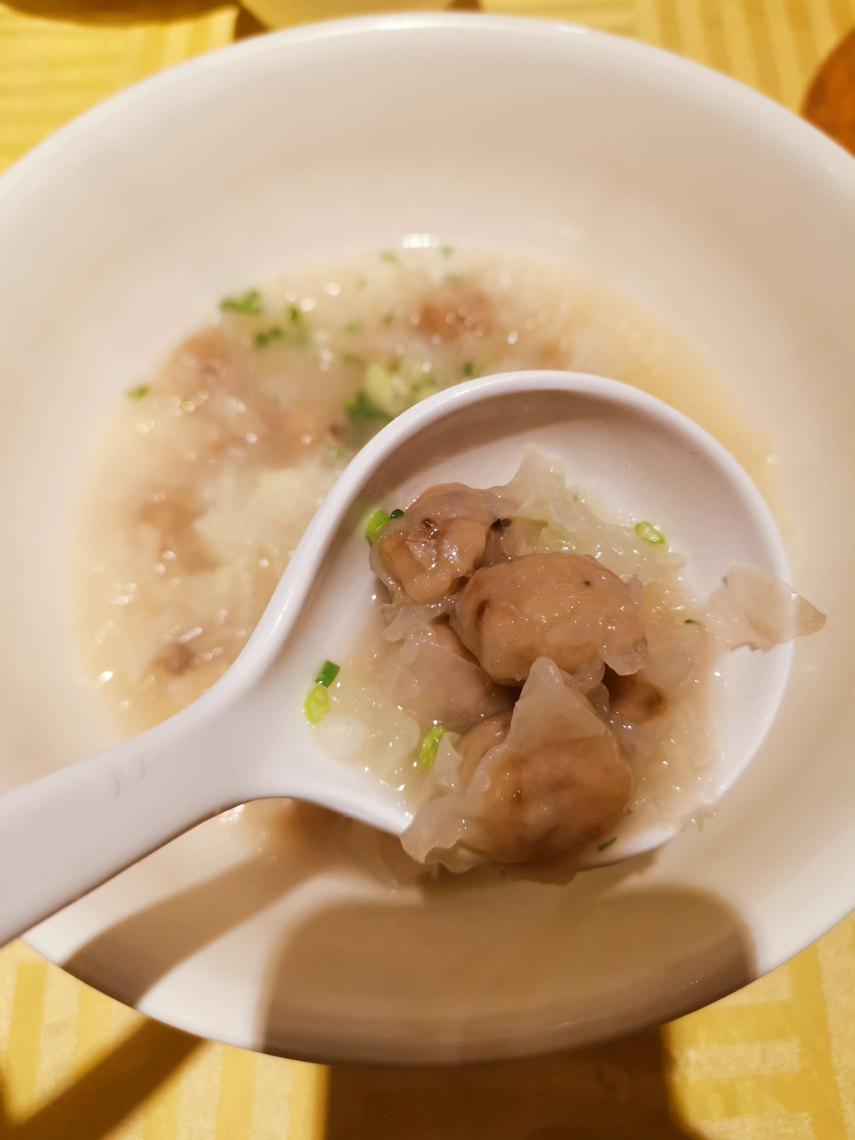 吃到自己破产!篇五:带你体验“天下第一鸽”——中山石歧佬