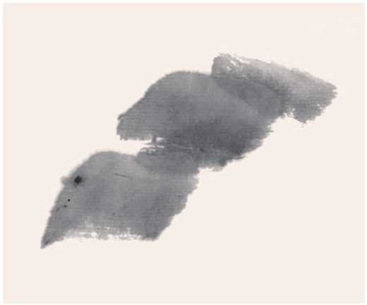 国画牡丹叶子的画法一窍不通,如何画牡丹花叶子和枝干国画视频