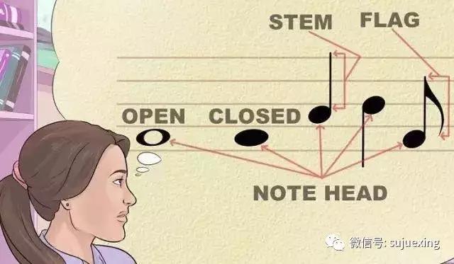 唱歌的五线谱入门教学,新手怎么学唱歌看谱子