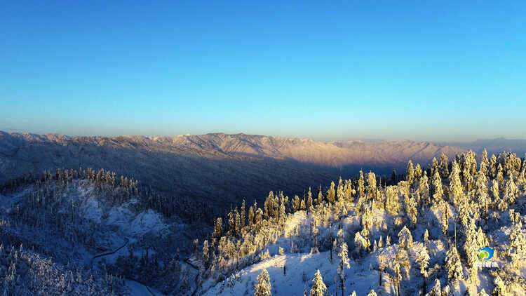 鑽ョ粡鑷劧鏁欒偛,鑽ョ粡鑷劧鏁欒偛鐮斿鍩哄湴