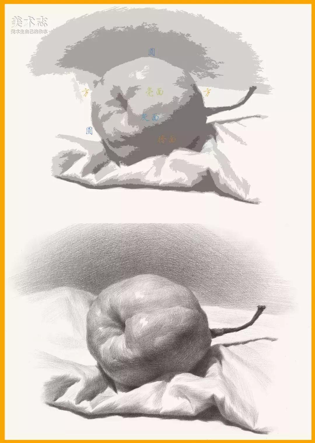 素描常见水果,适合新手的100幅素描画蔬菜水果